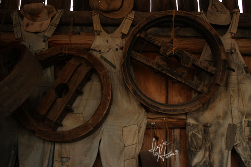 Izzie Harms' photo of the week.