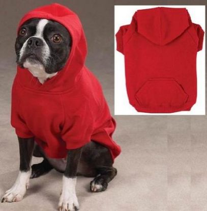 dog hoodie