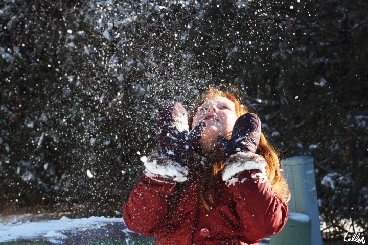 Serendipity Callan Baxter