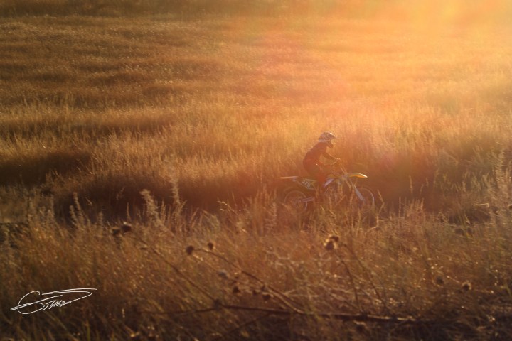 Kline 379 Renee Gruis